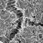 nanotecnologia