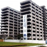 palacio_araucaria_esqueleto