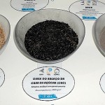Bagaço da cana-de-açúcar