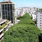 Sustentabilidade: Rua Gonçalo de Carvalho