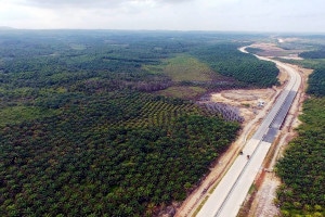 Nova capital da Indonésia será construída na ilha de Bornéu e tem alguma infraestrutura, como rodovias Crédito: AFP