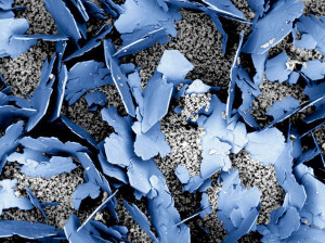 Imagem tirada de um microscópio eletrônico mostra cristais de portlandita (hidróxido de cálcio) em uma das amostras de concreto levadas para serem analisadas no espaço Crédito: MSFC - EM31 MATERIALS DIAGNOSTICS LAB