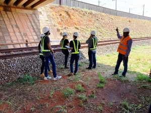 Graduandos dos cursos de 8 universidades do DF participam da parceria para vistoriar obras de arte da capital federal e das cidades-satélites. Crédito: SODF