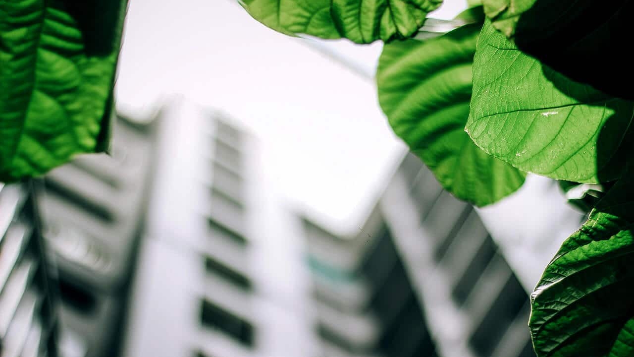Construções sustentáveis