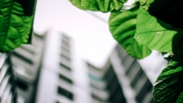 Construções sustentáveis