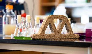 Microorganismos produzem massa semelhante ao concreto. No futuro, material pode substituir o drywall em paredes de vedação. Crédito: CU Boulder College of Engineering and Applied Science